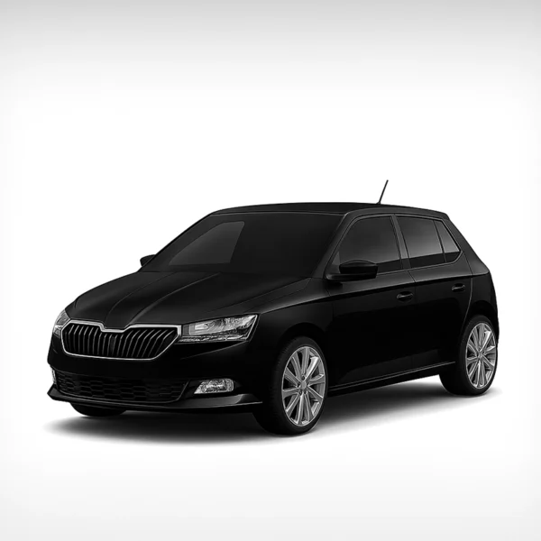 Mileage Blocker for SKODA FABIA III TYPE NJ SKODA FABIA III TYPE NJ Mileage Blocker