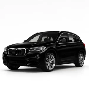 BMW X1 F48 Dispositivo di calibrazione del tachimetro