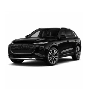 Audi Q3/SQ3 (3. GEN) Dispositivo di calibrazione del tachimetro Product